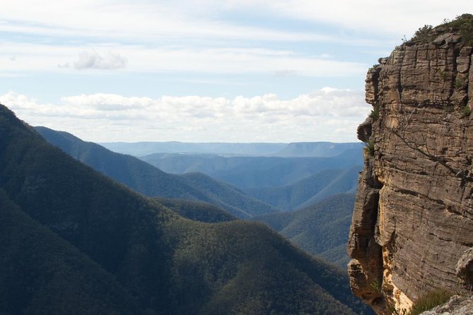 Inside the Greater Blue Mountains World Heritage - A Private Wildlife Safari Overnight - Key things I’d focus on