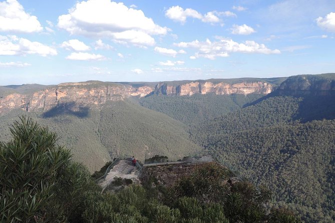 Inside the Greater Blue Mountains World Heritage - A Private Wildlife Safari Overnight - Blackheath Hub lunch strategy: flexible, not fussy