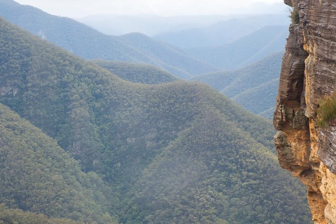 Inside the Greater Blue Mountains World Heritage - A Private Wildlife Safari Overnight - Jenolan Caves: underground time plus wildlife checks before you go