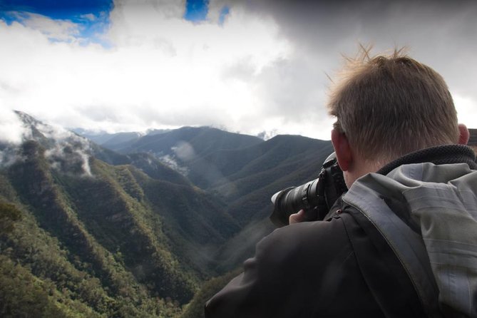 Inside the Greater Blue Mountains World Heritage - A Private Wildlife Safari Overnight - Getting your bearings at Glenbrook: woodland wildlife early on