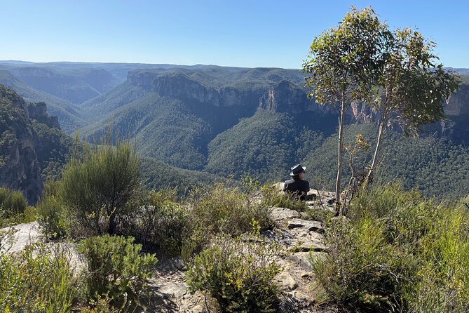 Intimate Blue Mountains Wild Kangaroos & Sunset for Nature Lovers - Stop-by-Stop: Lookouts, Rainforest Walks, and the Quiet Tracks Between