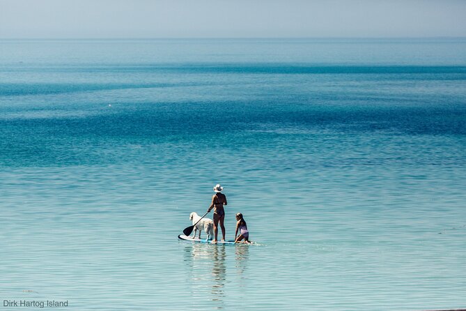 Island Life Adventures | A Day at Dirk - Who this tour fits best (and who might want another option)
