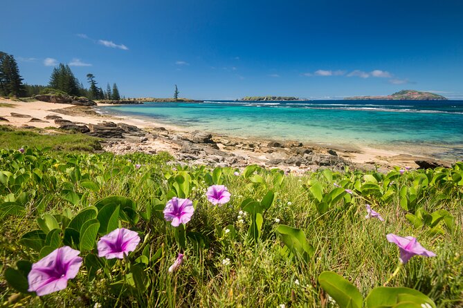 Island Orientation Package incl. Return Airport Transfers & Tour - Comfort details that actually matter on Norfolk Island