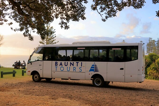 Island Orientation Package incl. Return Airport Transfers & Tour - What you’ll learn on the island highlights tour (art, history, food, government, industry)