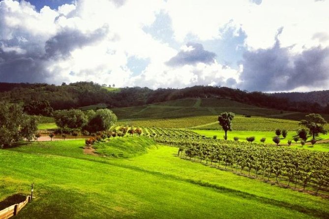 Ivanhoe Wines: Trip Advisor Premium Wine Tasting - Who should book this wine tasting (and who might skip)