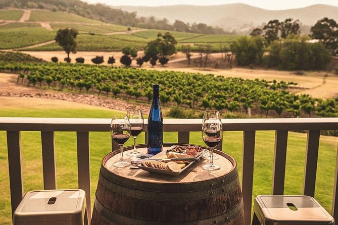 Ivanhoe Wines: Trip Advisor Premium Wine Tasting - Your hour at the cellar door: whites, sparkling, then reds