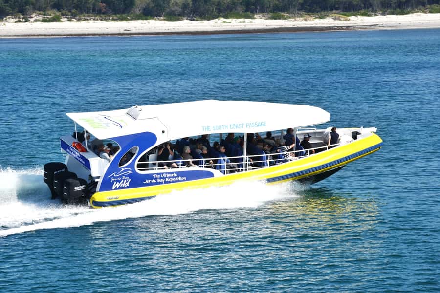 Jervis Bay: 2-Hour Cruise of Jervis Bay Passage - How the 2-hour cruise experience usually unfolds