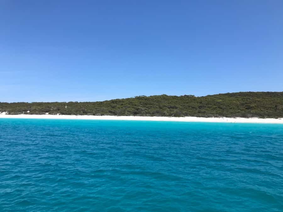 Jervis Bay: 2-Hour Cruise of Jervis Bay Passage - Dolphin sightings: what to watch for and how to maximize your odds