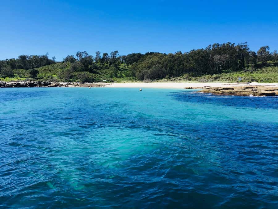 Jervis Bay: 2-Hour Cruise of Jervis Bay Passage - Birds, marine life, and the onboard commentary that helps your eyes
