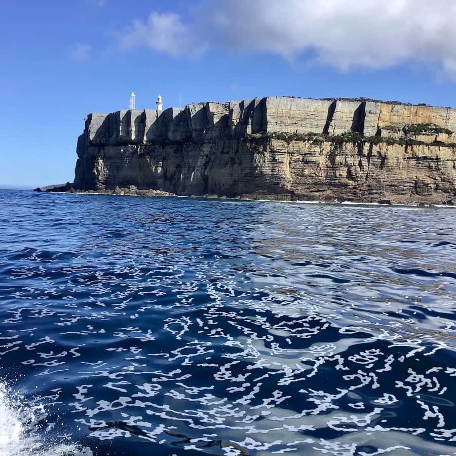 Jervis Bay: 2-Hour Cruise of Jervis Bay Passage - Boat comfort: easy viewing for two hours