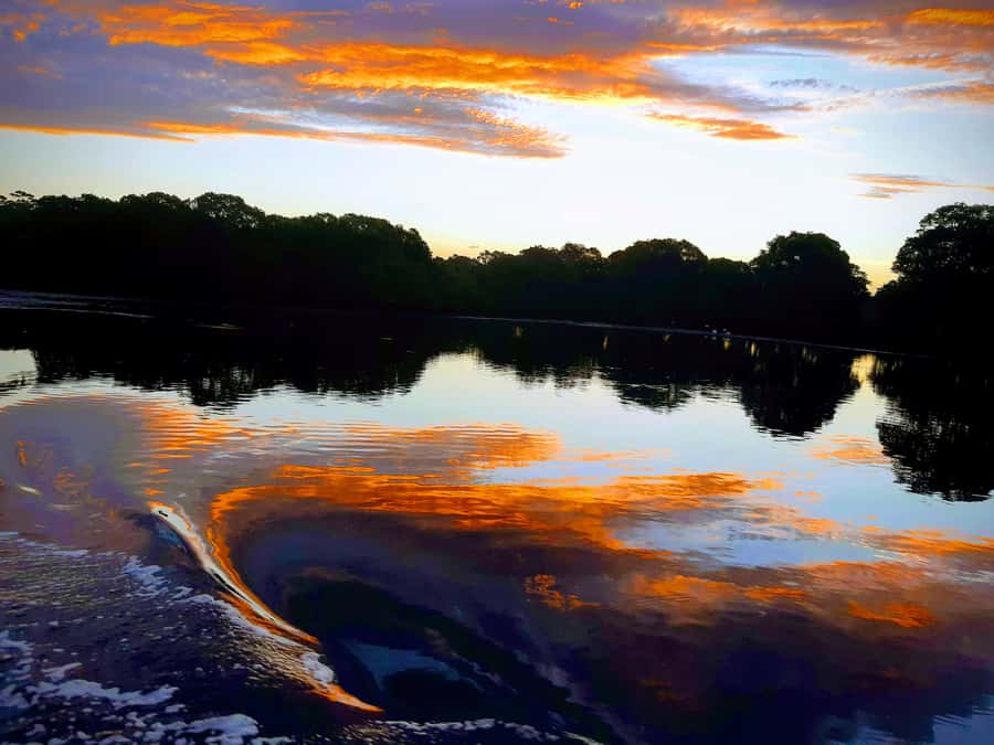 Jervis Bay: 2-Hour Sunset River Cruise - What the 2-hour Currambene cruise actually feels like