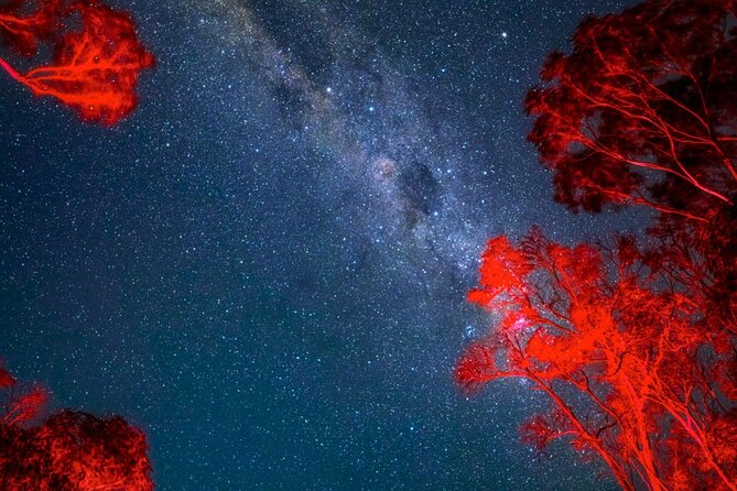 Jervis Bay Beach Stargazing Tour with our Astronomer - Price and value: is $60.97 worth it?