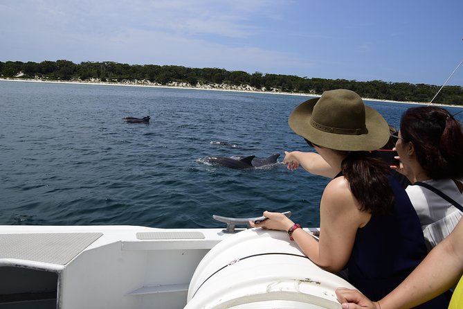 Jervis Bay Dolphin Cruise - Key highlights at a glance