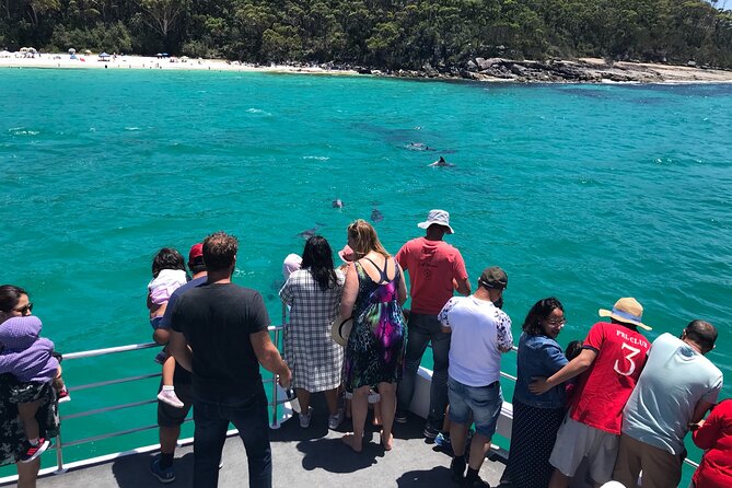 Jervis Bay Dolphin Cruise - Stop 2: Huskisson return and the bonus of coastline time