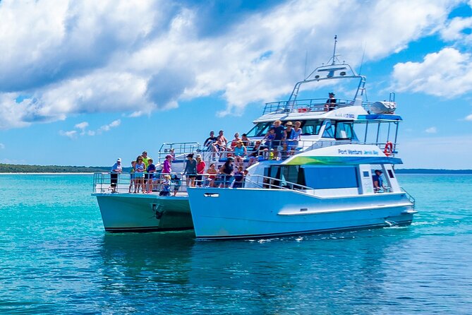 Jervis Bay Dolphin Cruise - Dolphin sightings: the honest odds and how the crew helps