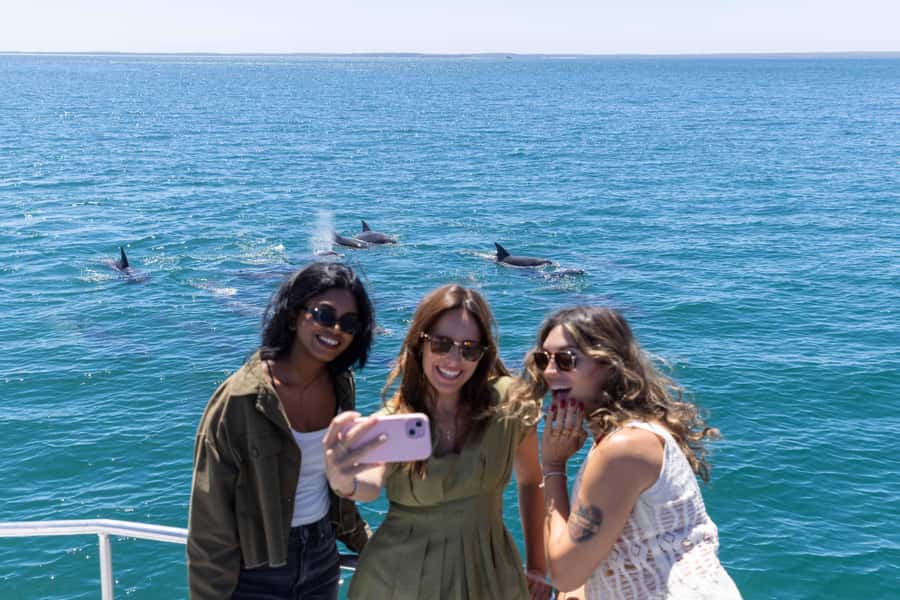 Jervis Bay Dolphin Cruise, Lunch, Berry&Kiama Blowhole Tour - The Big Picture: What This 12-Hour Day Trip Really Delivers