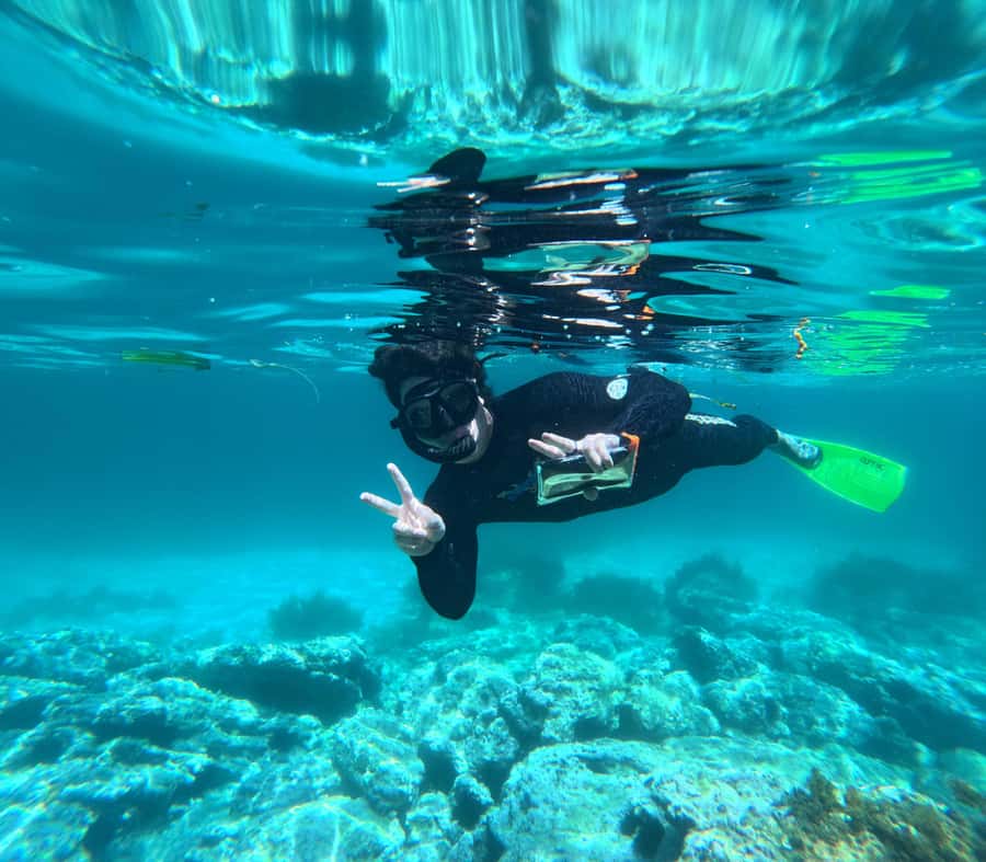 Jervis Bay: Guided Snorkelling Tour with expert guide - Booderee National Park snorkelling: what you’re likely to see