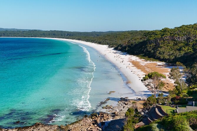 Jervis Bay Highlights Tour – Small Group Experience Scenic Coast - Key highlights at a glance