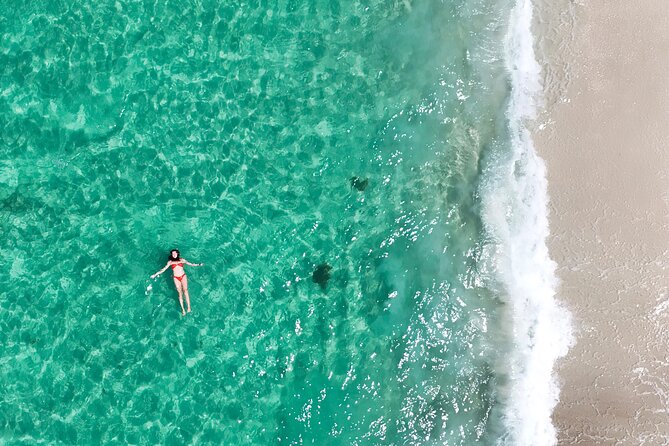 Jervis Bay Highlights Tour – Small Group Experience Scenic Coast - Kiama Blowhole: wave power you can feel