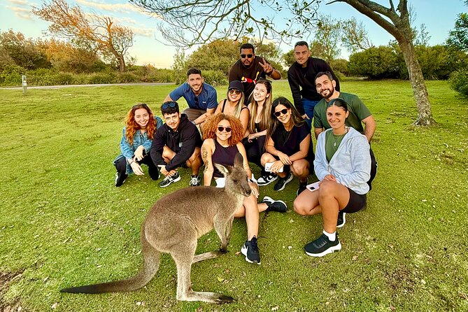Jervis Bay Highlights Tour – Small Group Experience Scenic Coast - Sea Cliff Bridge: the short walk that turns into epic photos