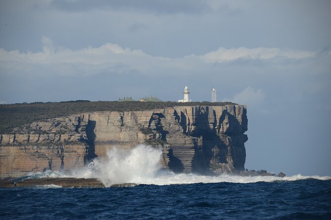 Jervis Bay Passage Tour - Live commentary on board: what you actually get
