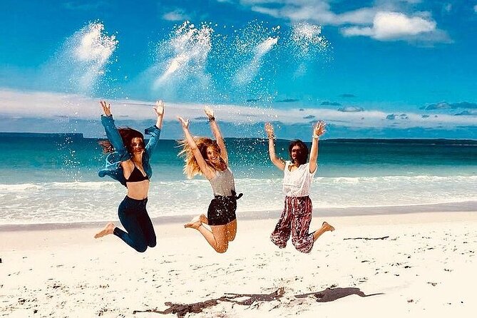 Jervis Bay Tour with Dolphins, Kangaroos & World's Whitest Beach - Key Things You’ll Want to Know First