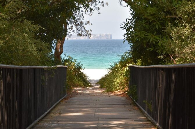 Jervis Bay Tour with Dolphins, Kangaroos & World's Whitest Beach - Jervis Bay in a Single Day: Dolphins, White Sand, and Wildlife