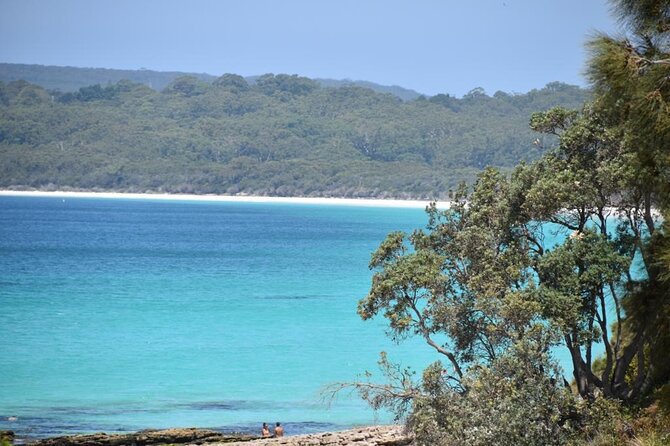 Jervis Bay Tour with Dolphins, Kangaroos & World's Whitest Beach - The Guide Factor: Names You Might Hear and Why It Matters