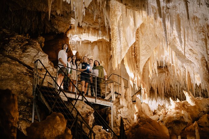 Jewel Cave Fully-guided Tour (Located in Western Australia) - Price and what your $17.93 buys you (and why it feels fair)