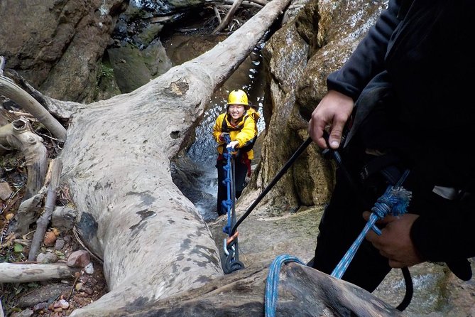 Juggler Canyon and Abseiling Adventure Blue Mountains - Juggler Canyon in Grose Valley: Narrow, Steep, Spectacular