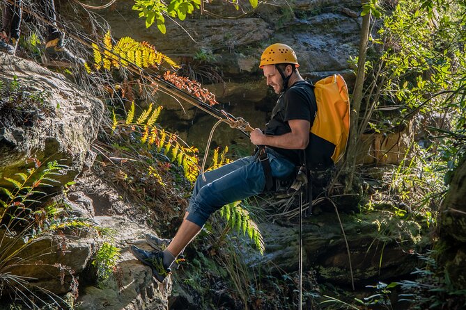 Juggler Canyon and Abseiling Adventure Blue Mountains - Fitness, Shoes, and the Small Stuff That Changes Everything