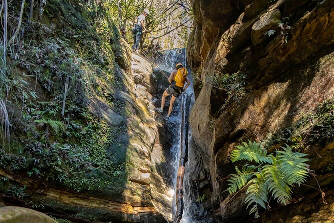Juggler Canyon and Abseiling Adventure Blue Mountains - Price and Value: What $247.45 Really Covers