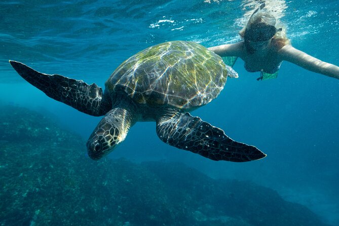 Julian Rocks: Premier Snorkeling Tour Byron Bay - From Brunswick Heads to Julian Rocks: the rhythm of the day