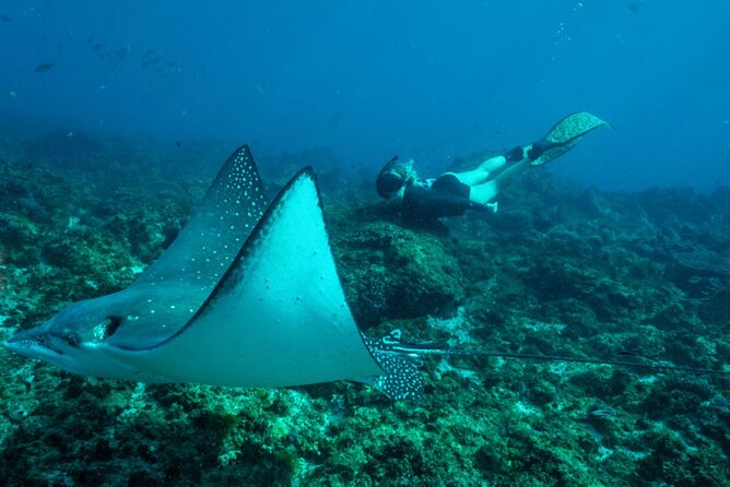 Julian Rocks: Premier Snorkeling Tour Byron Bay - Equipment and what’s actually included (so you don’t overpack)
