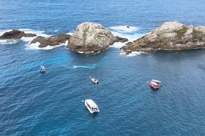 Julian Rocks: Premier Snorkeling Tour Byron Bay - Price and value: what $92.52 buys you