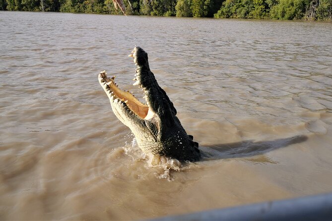 Jumping Croc Cruise, Berry Springs, Fogg Dam & Humpty Doo Pub - Who this tour is best for (and who should think twice)
