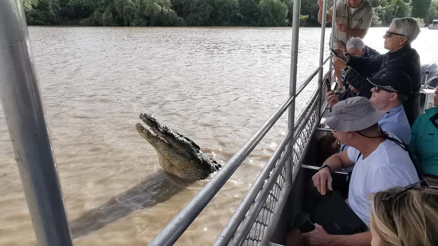 Jumping Croc Cruise, Berry Springs,Fogg Dam & Humpty Doo Pub - Who this tour suits best (and who should think twice)