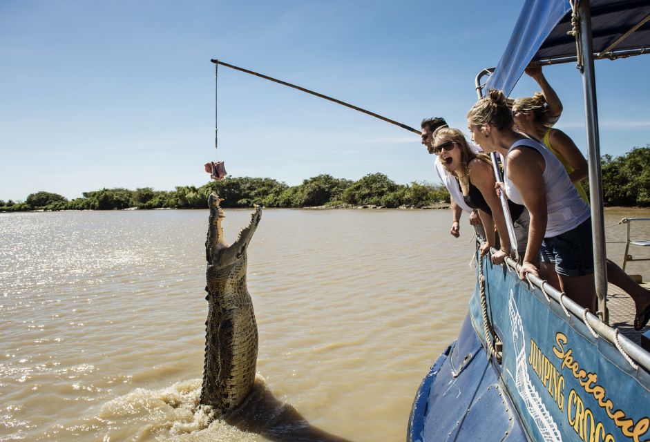 Jumping Crocodile Cruise from Darwin Half-Day Scenic Trip - Translation App Support: Helpful If You’re Not Fluent in English