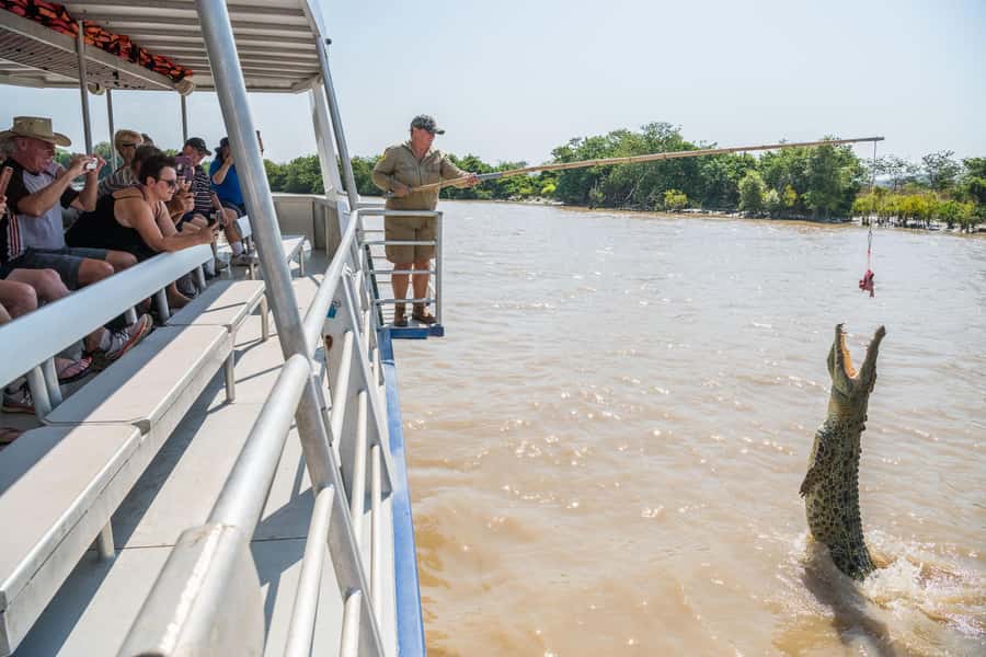 Jumping Crocodile Cruise from Darwin Half-Day Scenic Trip - What to Bring (and What to Skip) for a Smooth Croc Morning