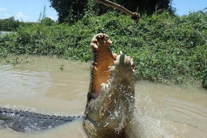 Jumping Crocodile Cruise with lunch - Humpty Doo Lunch at the Hotel: Fuel Without Complicated Plans
