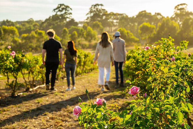 Jurlique Farm Tour - Key highlights you’ll notice right away