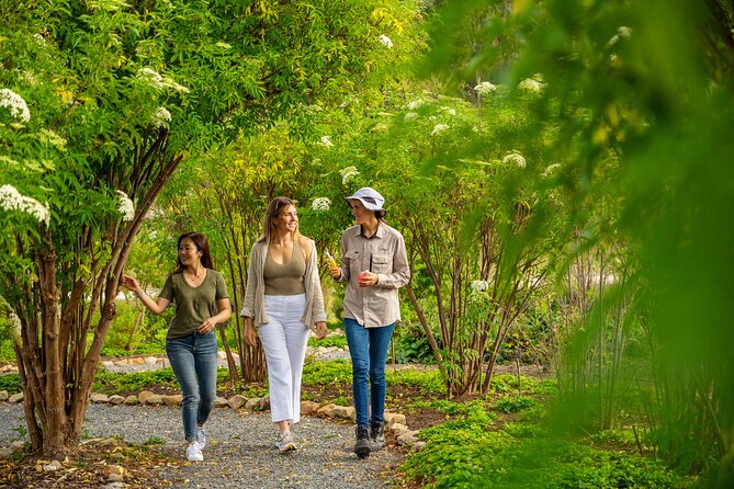 Jurlique Farm Tour - Value for money: is $28.69 worth it?