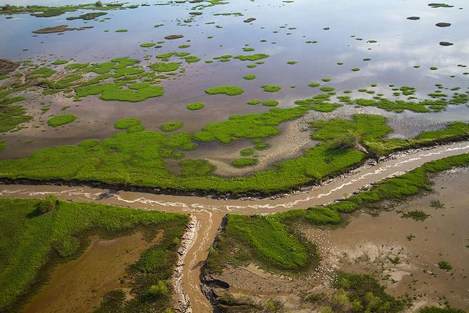 Kakadu, Adelaide & Mary River Scenic Flight - Following the Mary River: Your First Real Taste of the Region