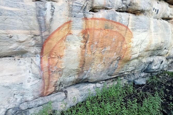 Kakadu Day Tour-Yellow Water-Nourlangie-Ubirr-Cahills-Fogg Dam - Quick hits for Kakadu’s big checklist