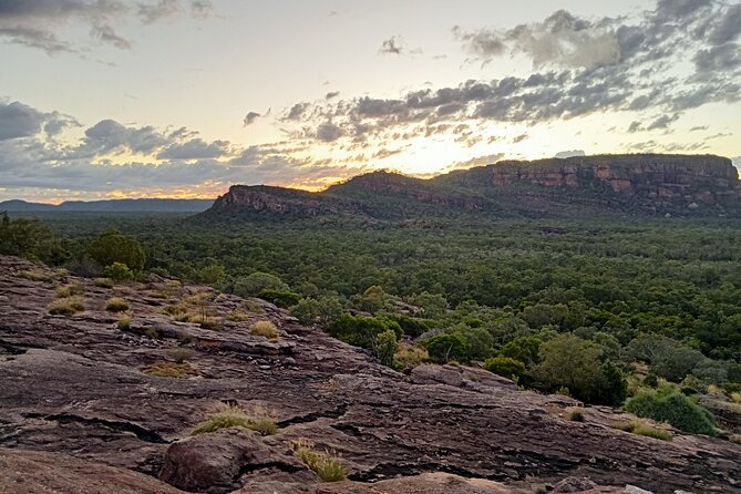 Kakadu Day Tour-Yellow Water-Nourlangie-Ubirr-Cahills-Fogg Dam - A 6:00 am start and a full day of Kakadu icons