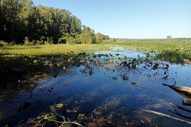 Kakadu Day Tour-Yellow Water-Nourlangie-Ubirr-Cahills-Fogg Dam - Nourlangie rock art: Dreaming stories with real context