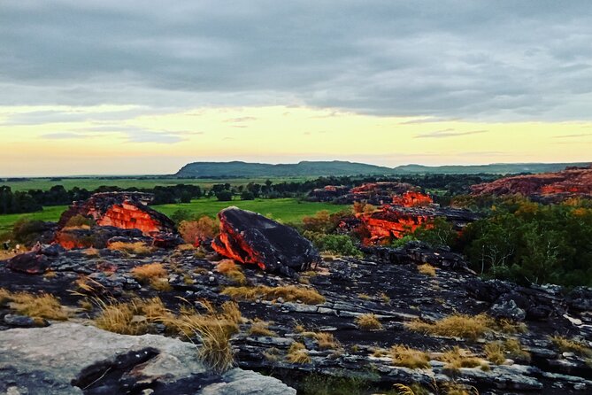 Kakadu Day Tour-Yellow Water-Nourlangie-Ubirr-Cahills-Fogg Dam - Fogg Dam at sunrise: birds first, scenery second