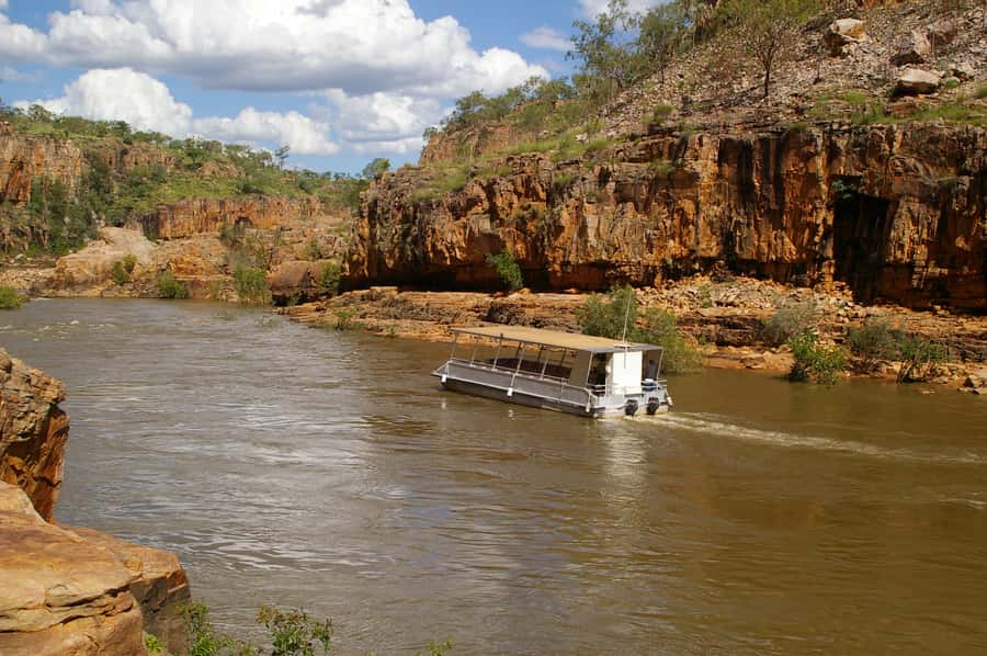 Kakadu, Katherine & Litchfield Camping Tour - Day 4: Litchfield’s termite mounds and croc-free waterfall swims