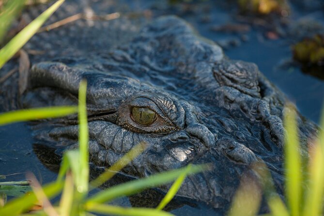 Kakadu National Park Evening Tour + Yellow Water Sunset Cruise - Getting Your Bearings: Corroboree Tavern Lunch Stop