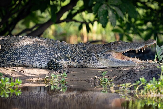 Kakadu National Park Evening Tour + Yellow Water Sunset Cruise - Bowali Visitor Centre: Culture and Context Without the Museum Fatigue